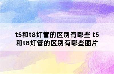 t5和t8灯管的区别有哪些 t5和t8灯管的区别有哪些图片